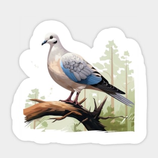 Collared Dove Sticker